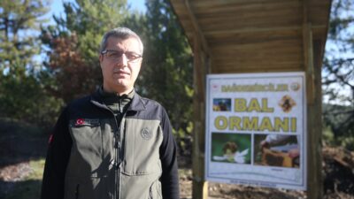 - Bursa Orman Bölge Müdürü Erdal Şahan:
- "Bölge Müdürlüğü olarak