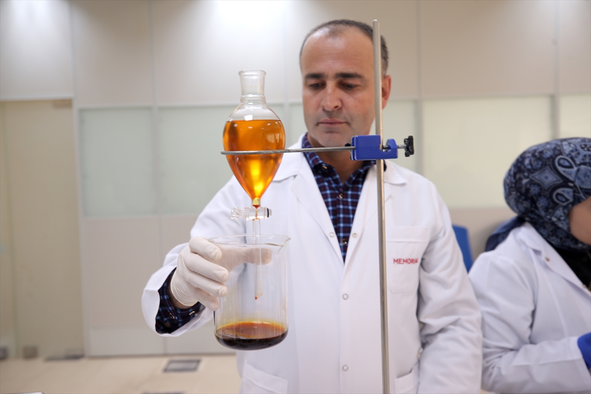 - Muş Alparslan Üniversitesinde görevli akademisyenler ve eğitim gören öğrenciler,