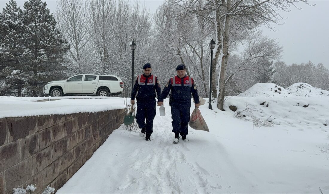 YOZGAT (AA) – Yozgat İl Jandarma Komutanlığı ekipleri, kar yağışının