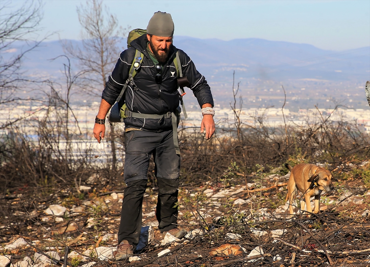 - Orman yangınlarına dikkati çekmek amacıyla "81 il 81 fidan,