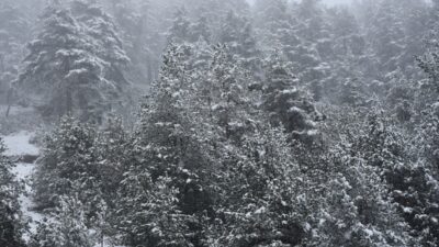GÜMÜŞHANE (AA) – Gümüşhane'nin Torul ilçesi sınırlarında, Trabzon-Gümüşhane kara yolu