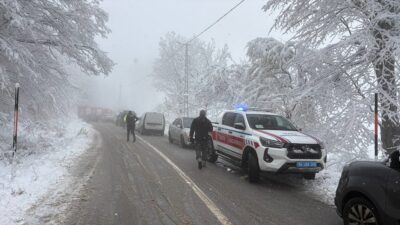 ZONGULDAK/SAKARYA (AA) – Zonguldak ve Sakarya'da kar nedeniyle kayganlaşan yolda