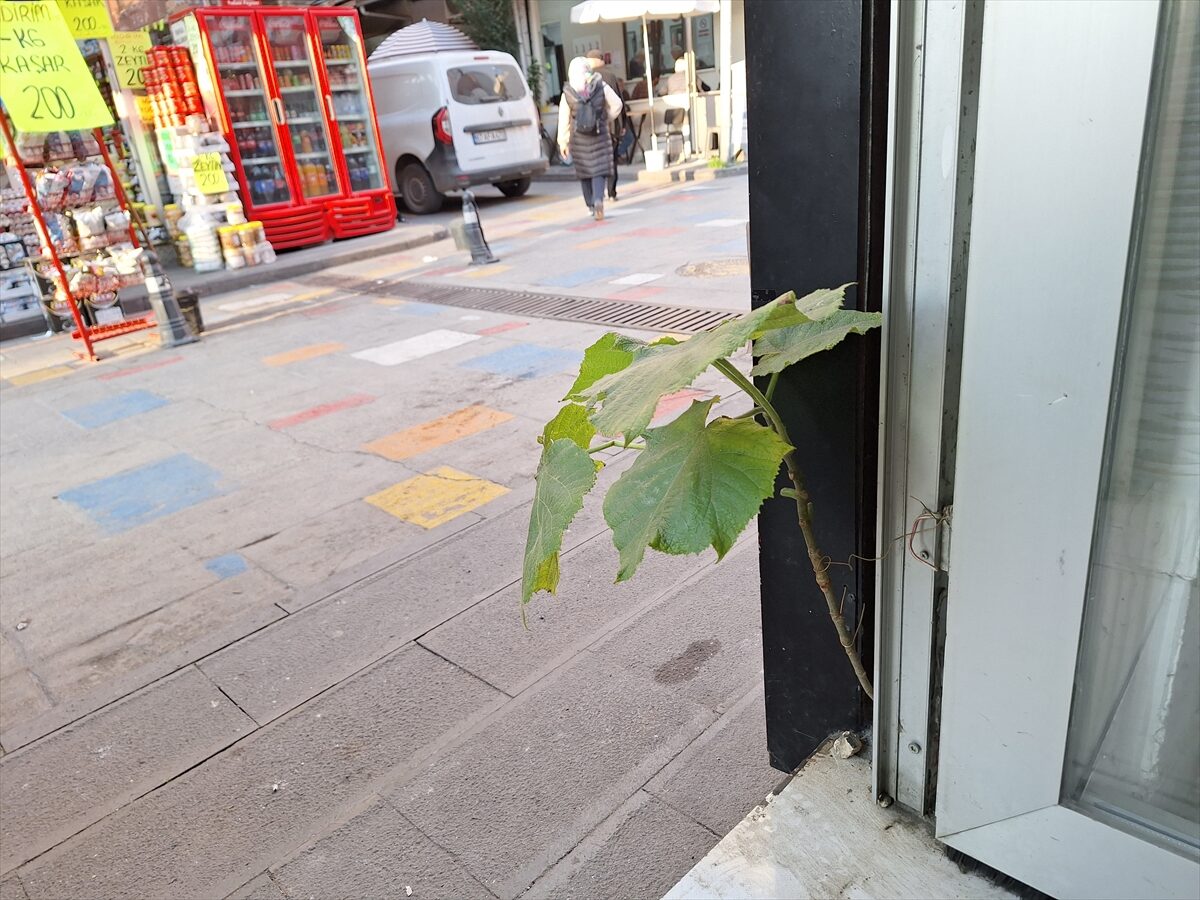 ZONGULDAK (AA) – Zonguldak’ın Alaplı ilçesinde altın tamirciliği yapan bir