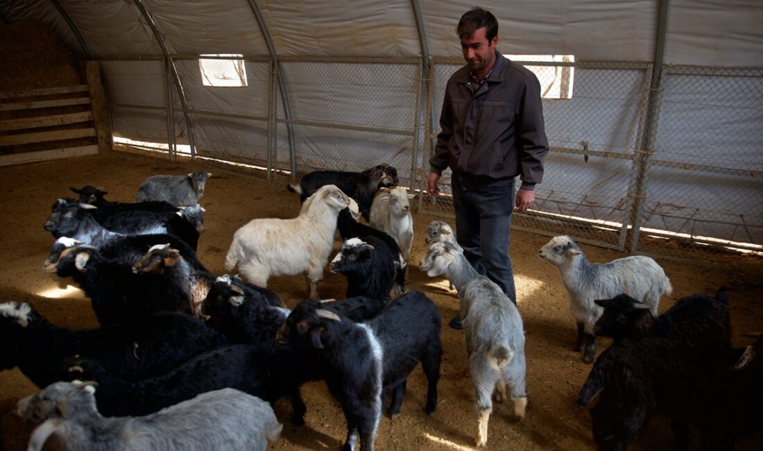- Osmaniye'de Tarım ve Orman Bakanlığınca yürütülen Kırsal Dezavantajlı Alanlar