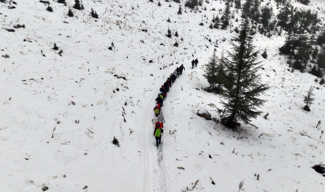 - Akdağ'ın 1700 rakımında yer alan yaylanın ziyaretçileri, çam, sedir