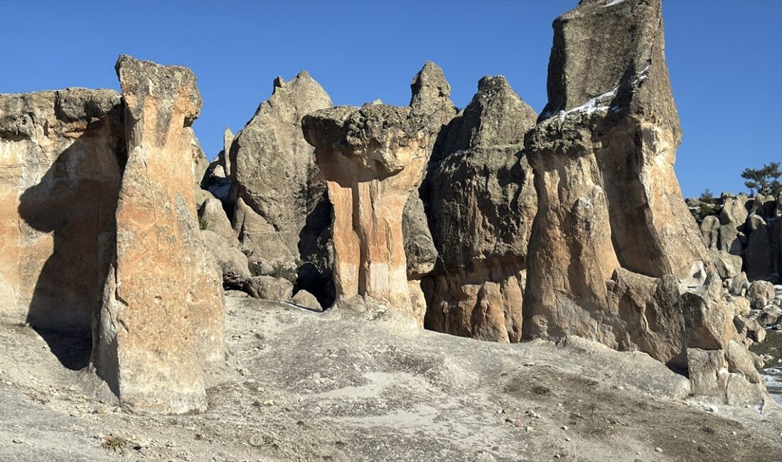 - Turizm potansiyelinin artırılması için çeşitli projelerin hayata geçirileceği ilçenin