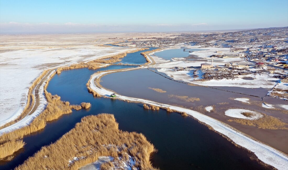- Bugüne kadar yapılan gözlemlerde 348 kuş türünün yaşadığı belirlenen