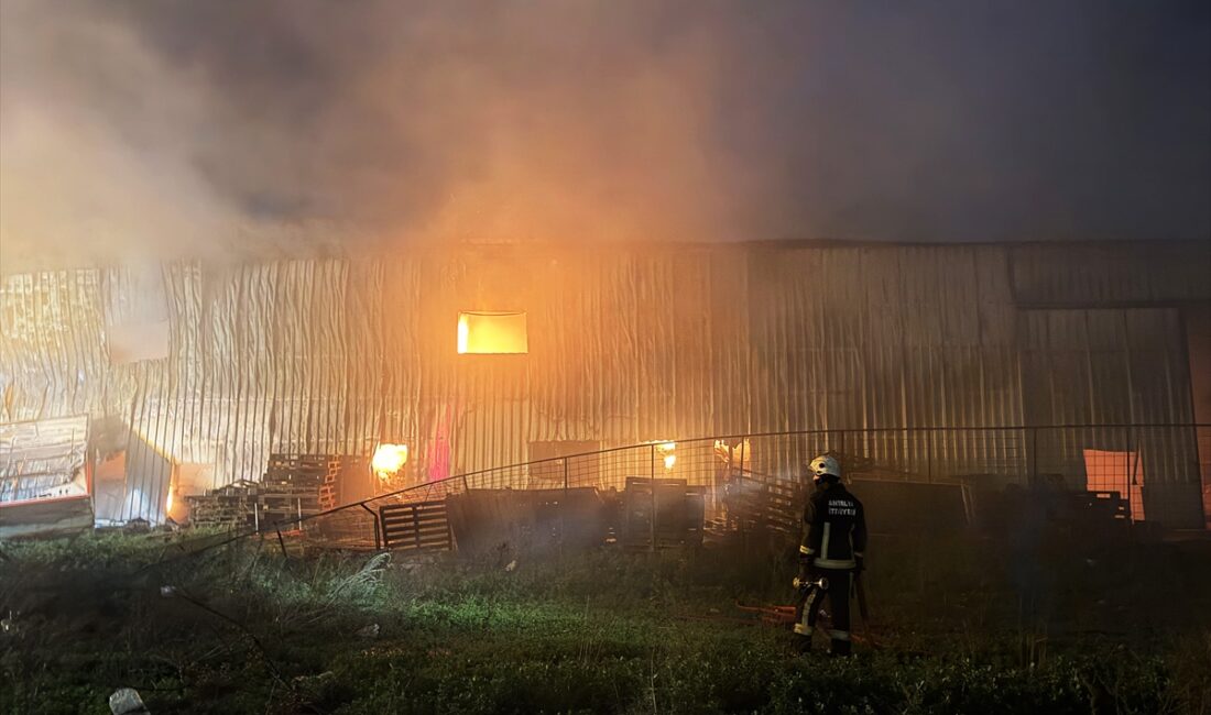 ANTALYA (AA) – Antalya'nın Alanya ilçesinde klima ve kuluçka makinelerinin