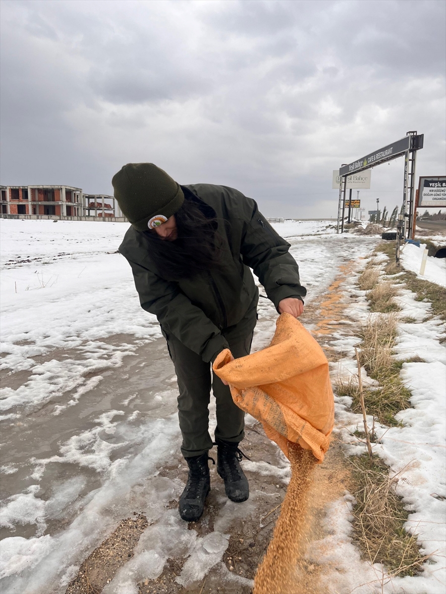 BATMAN (AA) – Batman Orman İşletme Müdürlüğünce kent merkezi ve