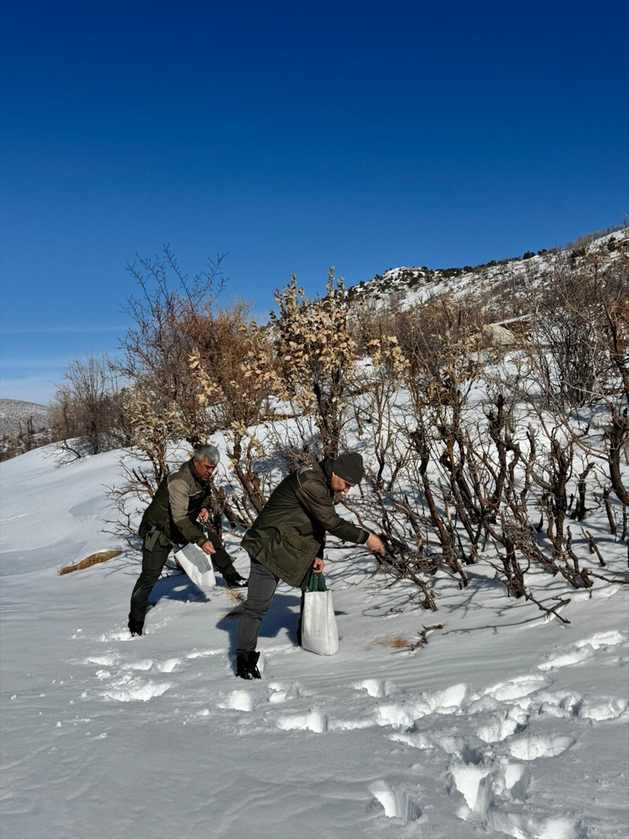 BATMAN (AA) – Batman'ın Gercüş ilçesinde kuşlar için doğaya yem