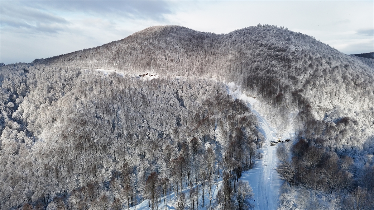 SAKARYA (AA) – Sakarya'nın Kocaali ve Hendek ilçeleri arasında bulunan