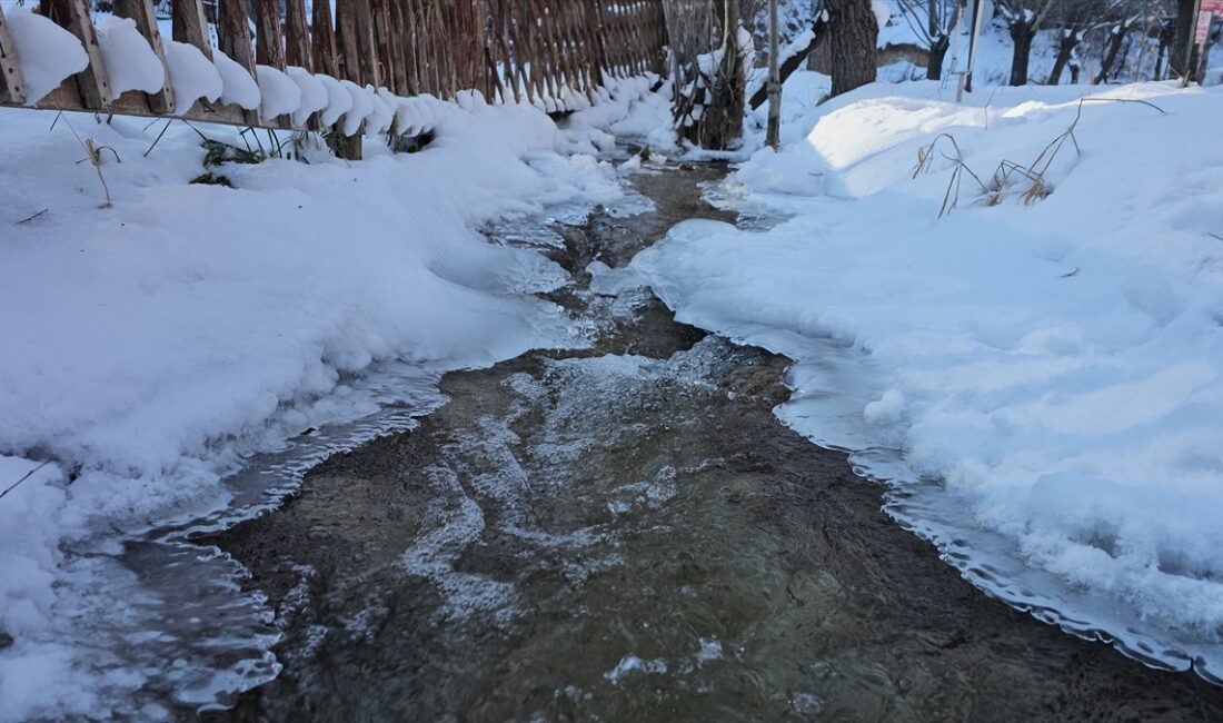 ERZINCAN (AA) – Erzincan'da kar yağışı ve soğuk havanın etkisiyle