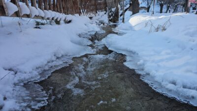 ERZINCAN (AA) – Erzincan'da kar yağışı ve soğuk havanın etkisiyle