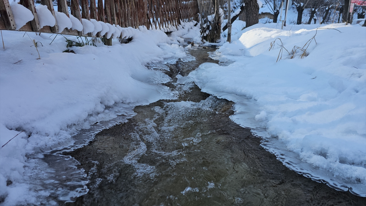 ERZINCAN (AA) – Erzincan'da kar yağışı ve soğuk havanın etkisiyle