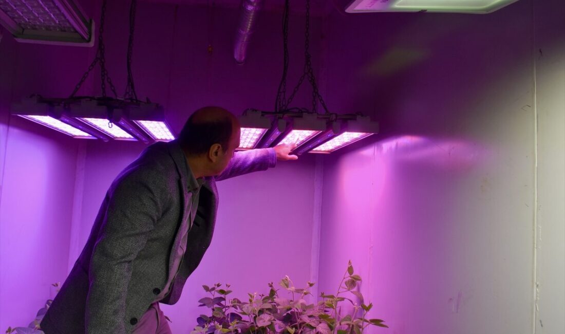 - Akdeniz Üniversitesi Sera Teknolojileri Uygulama ve Araştırma Merkezi Müdürü