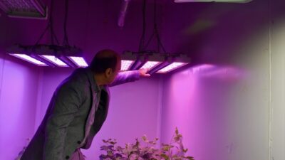 - Akdeniz Üniversitesi Sera Teknolojileri Uygulama ve Araştırma Merkezi Müdürü