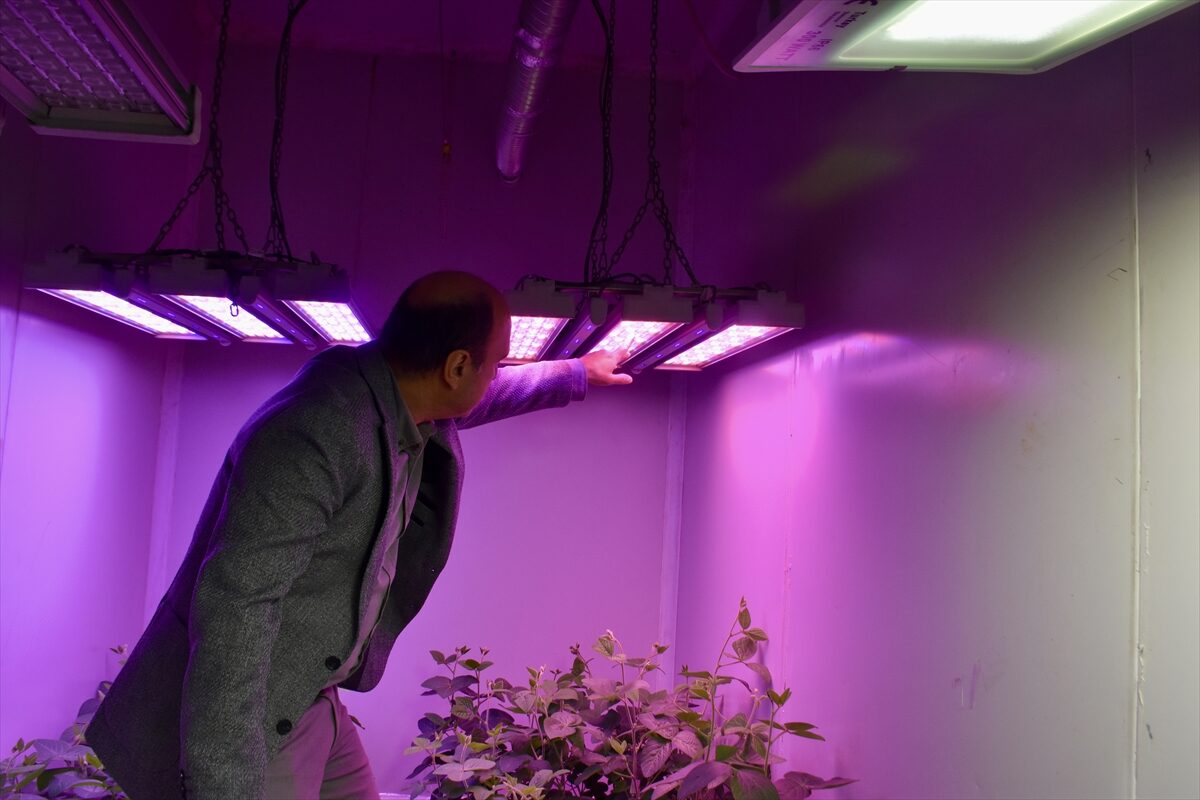 - Akdeniz Üniversitesi Sera Teknolojileri Uygulama ve Araştırma Merkezi Müdürü