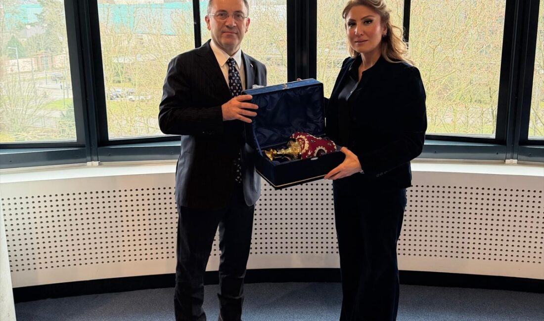 ANKARA (AA) – Danıştay Başsavcısı Cevdet Erkan, Avrupa İnsan Hakları