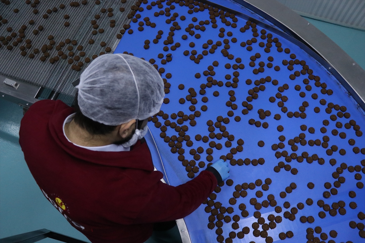 - Kayseri'de yaşayan girişimci, devlet desteği alarak iş insanlarıyla kurduğu