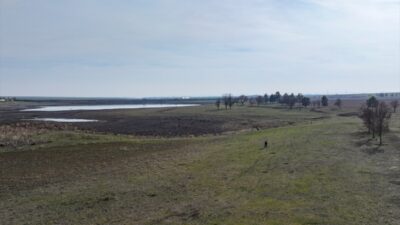 - Göçmen kuşlar için önemli besin ve yumurtlama alanı olan,