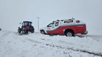 DİYARBAKIR (AA) – Diyarbakır'ın Çınar ilçesinde yeni doğum yapan ve