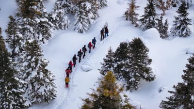 - Adana, Niğde ve Kayseri sınırlarında yer alan Aladağlar'da ağaçların