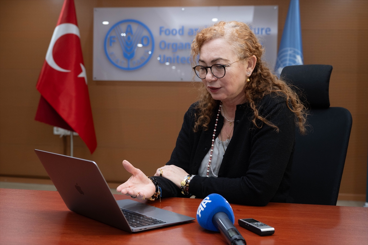 ANKARA (AA) – Birleşmiş Milletler Gıda ve Tarım Örgütü (FAO)