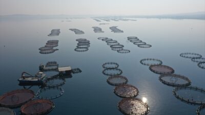 - Şanlıurfa'da yaşayan Ömer Tunç, iki çocuğuyla birlikte ürettikleri Türk