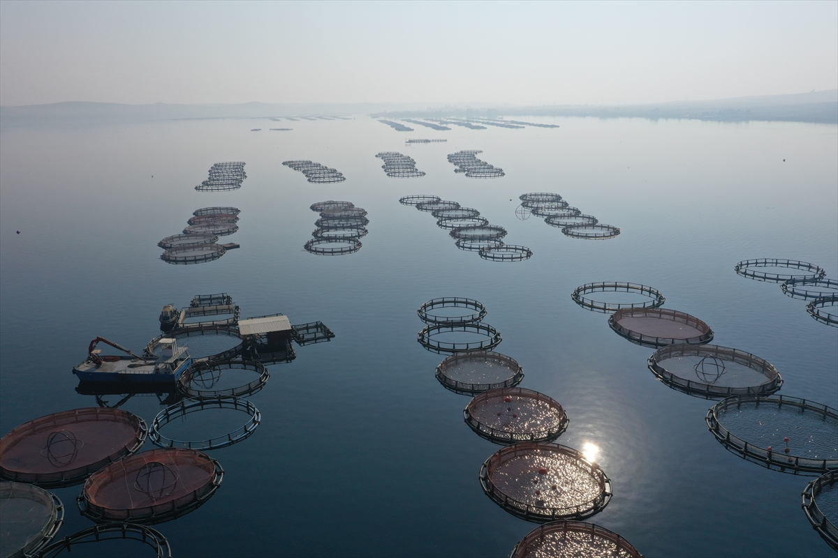 - Şanlıurfa'da yaşayan Ömer Tunç, iki çocuğuyla birlikte ürettikleri Türk