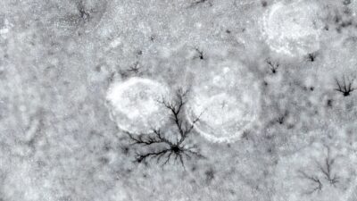 KAYSERİ (AA) – Kayseri'nin Develi ilçesindeki Gümüşören Barajı'nda, soğuk havanın