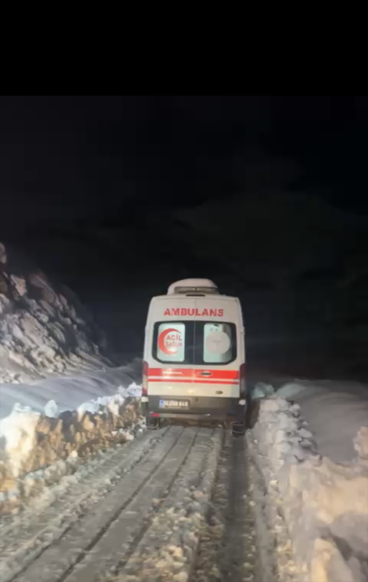 HAKKARİ (AA) – Hakkari'nin Şemdinli ilçesinde sobadan sızan gazdan etkilenen