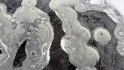 IĞDIR (AA) – Iğdır'da çok sayıda kuş türünün yaşadığı bazı