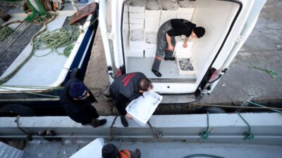 - Kırklareli’nin İğneada beldesi açıklarına göç eden hamsinin peşine düşen