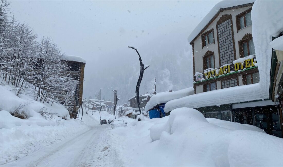 TRABZON (AA) – Trabzon, Giresun, Rize, Artvin, Gümüşhane ve Bayburt'ta