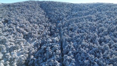 YOZGAT (AA) – Kar yağışının ardından beyaz örtüyle kaplanan Yozgat