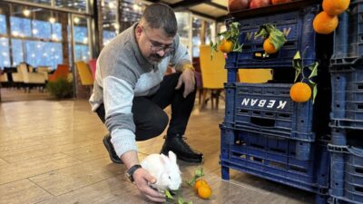 - Elazığ'da kafe çalışanı Yakup Kuş, kedinin ağzından kurtarıp sahiplendiği