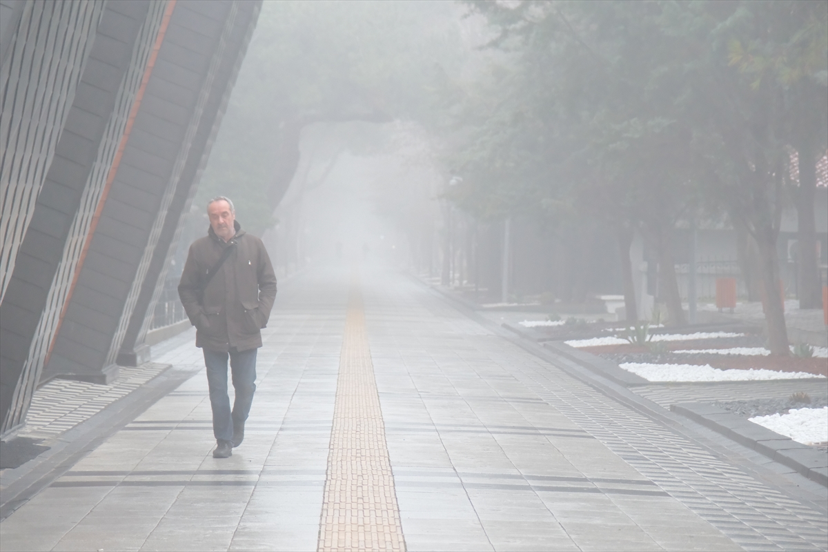 KIRKLARELİ (AA) – Kırklareli ve Tekirdağ'da sis yaşamı olumsuz etkiledi.