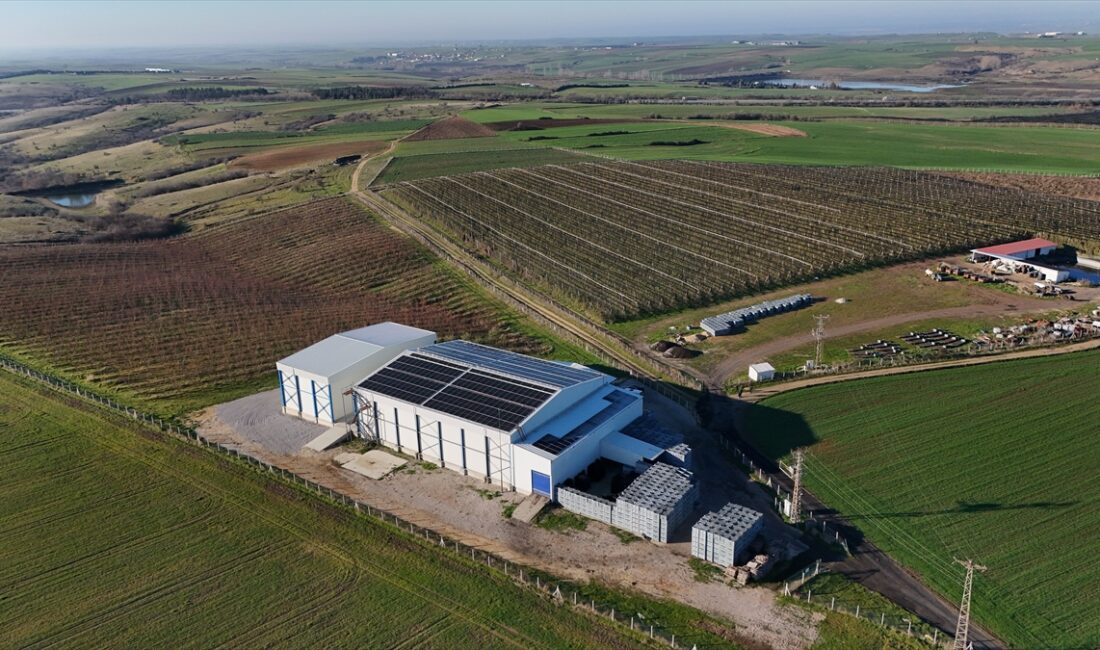 - Devlet desteğiyle kurulan güneş enerji santrali sayesinde elektrik maliyetlerini