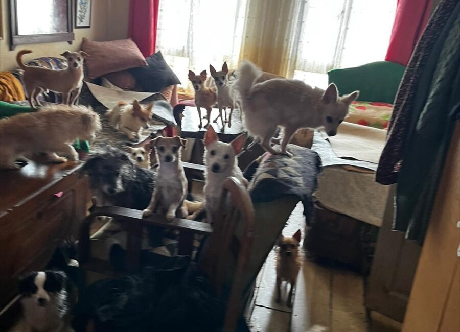 KOCAELİ (AA) – Kocaeli’nin Kandıra ilçesinde bir evde kötü koşullarda