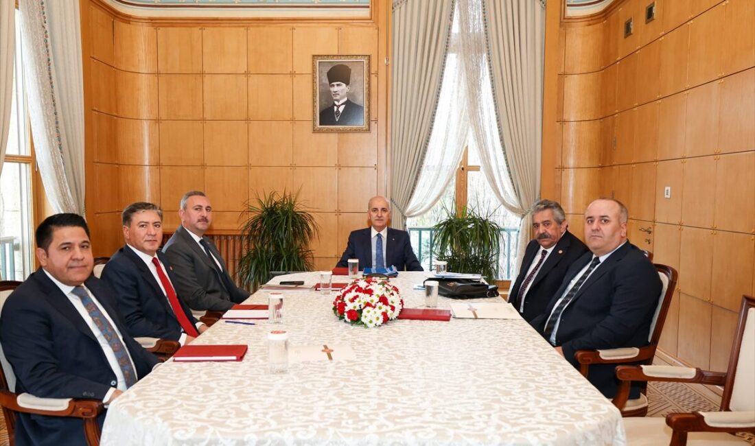 TBMM (AA) – TBMM Başkanı Numan Kurtulmuş, Milli Dayanışma, Kardeşlik