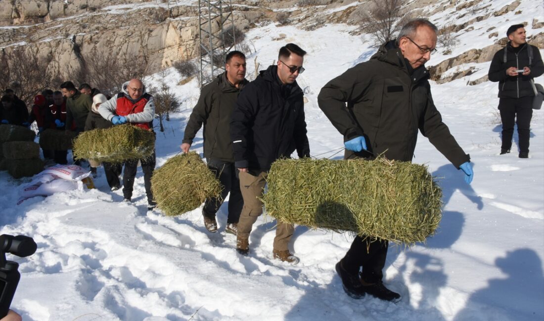 MALATYA (AA) – Malatya’da kar ve don nedeniyle yiyecek bulmakta