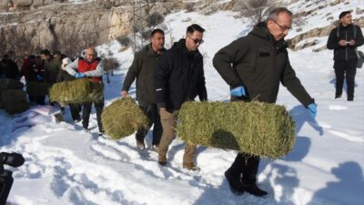 MALATYA (AA) – Malatya’da kar ve don nedeniyle yiyecek bulmakta