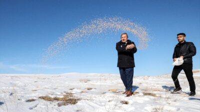 MALATYA (AA) – Malatya'nın Darende ilçesinde, yoğun kar yağışı nedeniyle