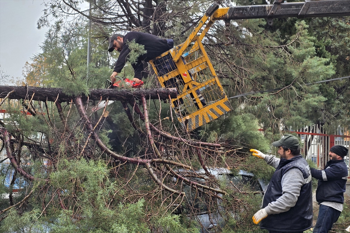 MANİSA (AA) – Manisa kent merkezi ile Salihli ve Turgutlu