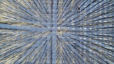 MARDİN (AA) – Mardin'in Savur ilçesinde, kar yağışının ardından beyaz