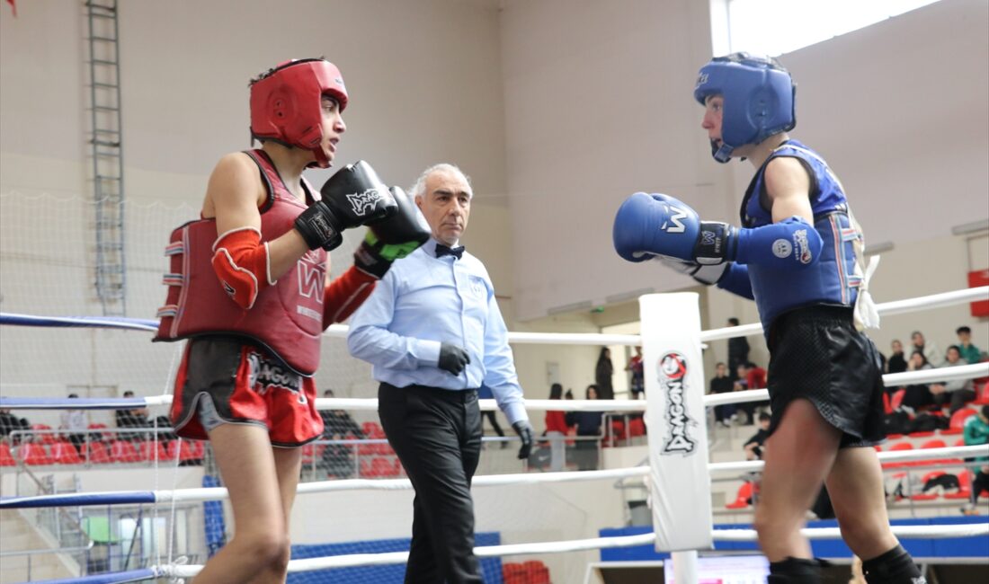 - Türkiye Muaythai Federasyonu Başkanı Hasan Yıldız:
- "Aslında çabuk büyümesi