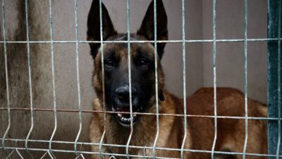 SAMSUN (AA) – Ondokuz Mayıs Üniversitesi (OMÜ) Afet Eğitimi ve