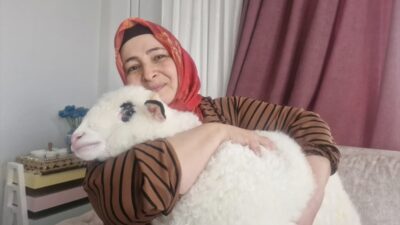 - Tokat'ın Erbaa ilçesinde yaşayan ve daha önce de oğlu