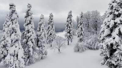 SAKARYA (AA) – Sakarya'nın Kocaali ilçesinin yüksek kesimlerinde etkili olan