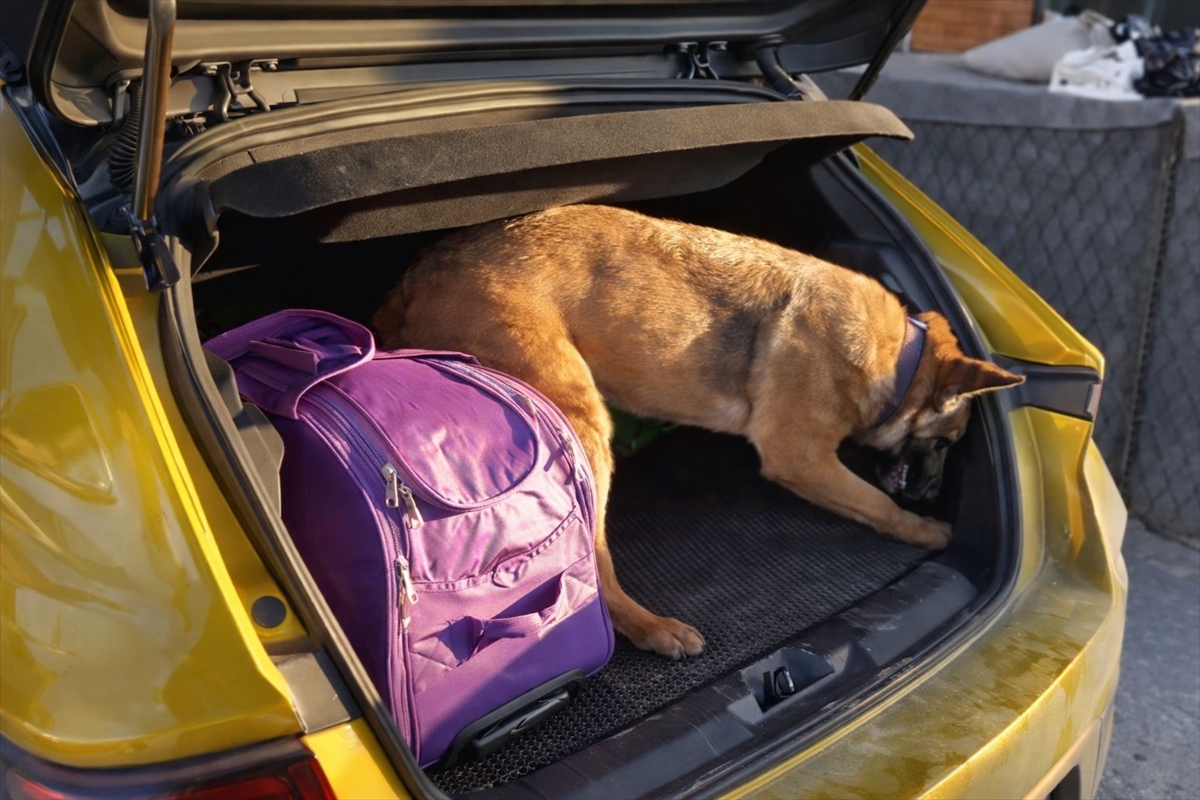 SAMSUN (AA) – Samsun'un Havza ilçesinde bir otomobilin bagajına gizlenen
